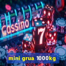 mini grua 1000kg